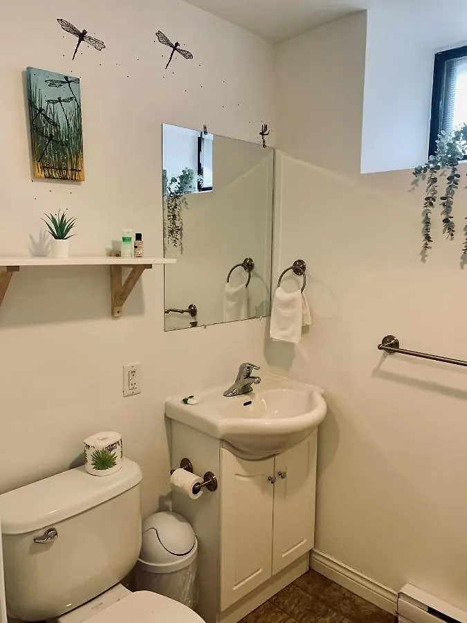 Xxx Old 238 Lovely 1-Bedroom Rental Unit In Halifax